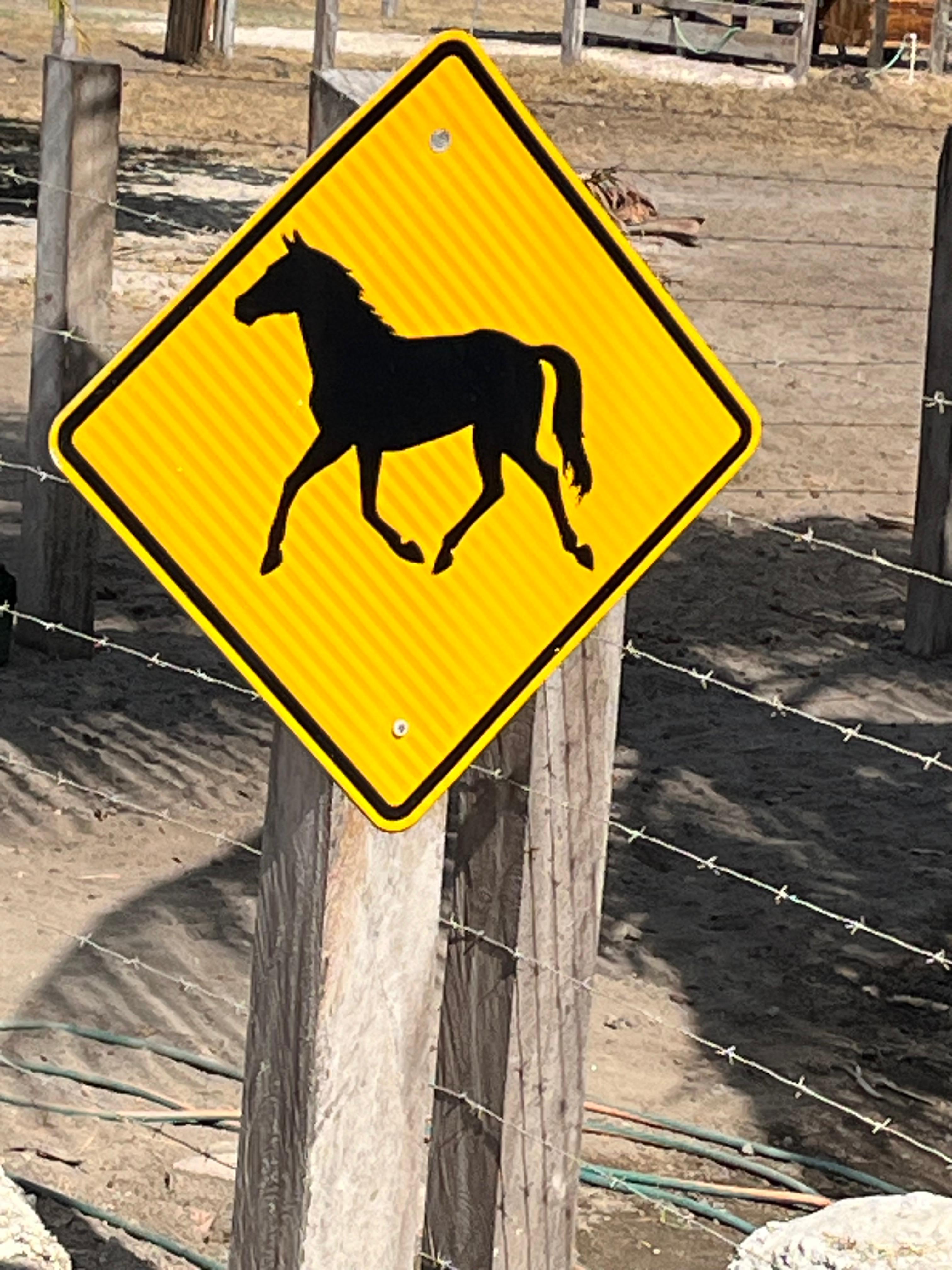 What A Rush Riding Stables sign at Playa Cangrejera, El Salvador